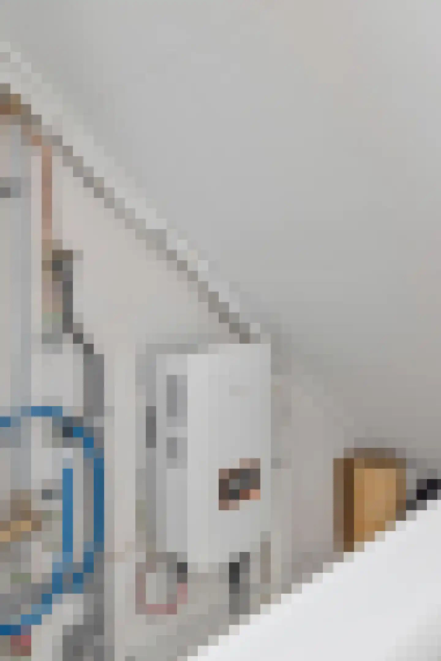 Mös 6 Overdinkel thumbnail 26