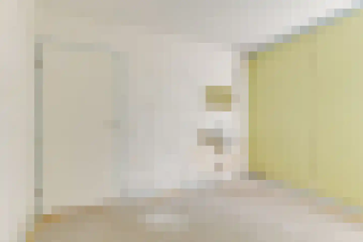 Mosagaat 28 Heerhugowaard thumbnail 13