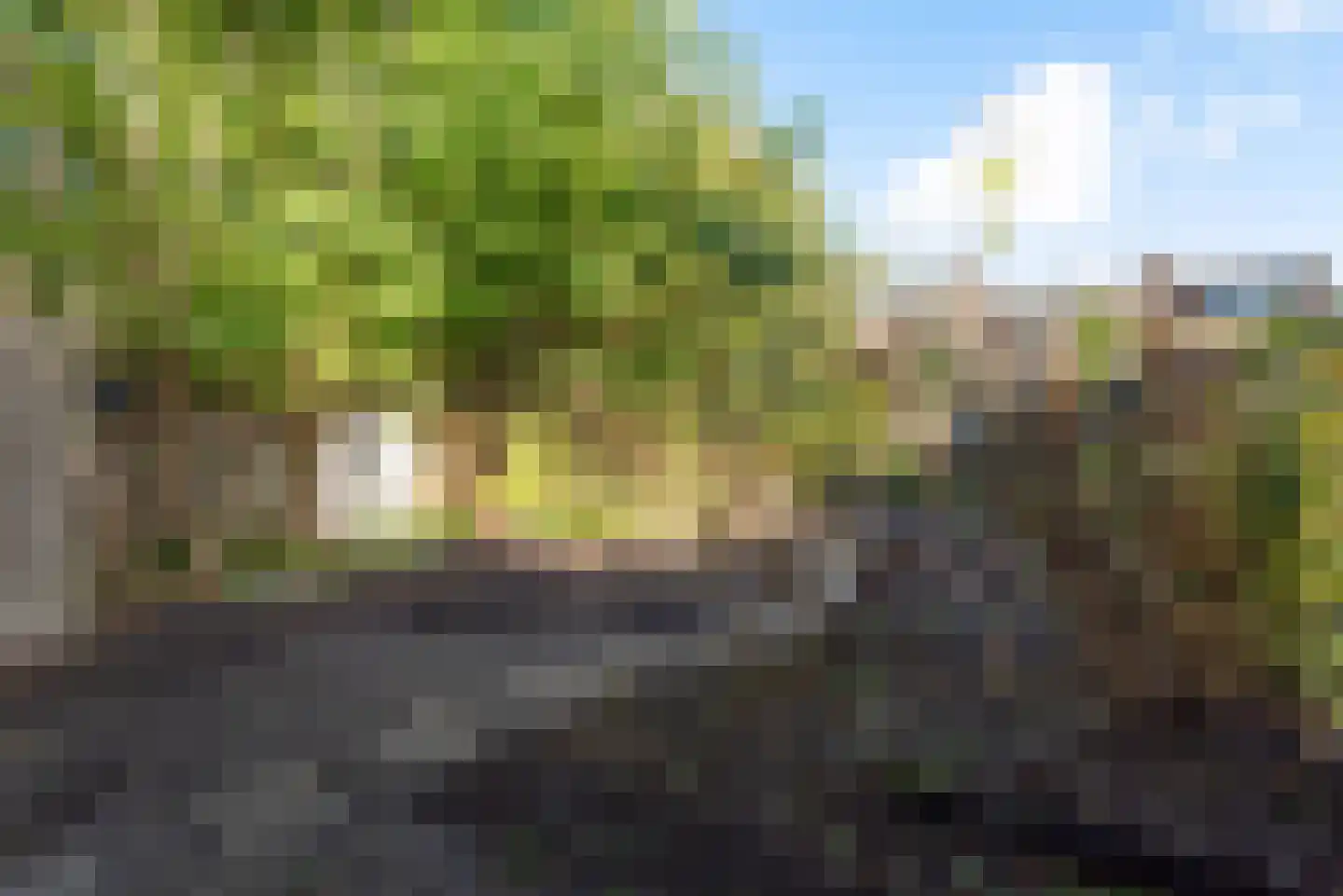 Mosagaat 28 Heerhugowaard thumbnail 25