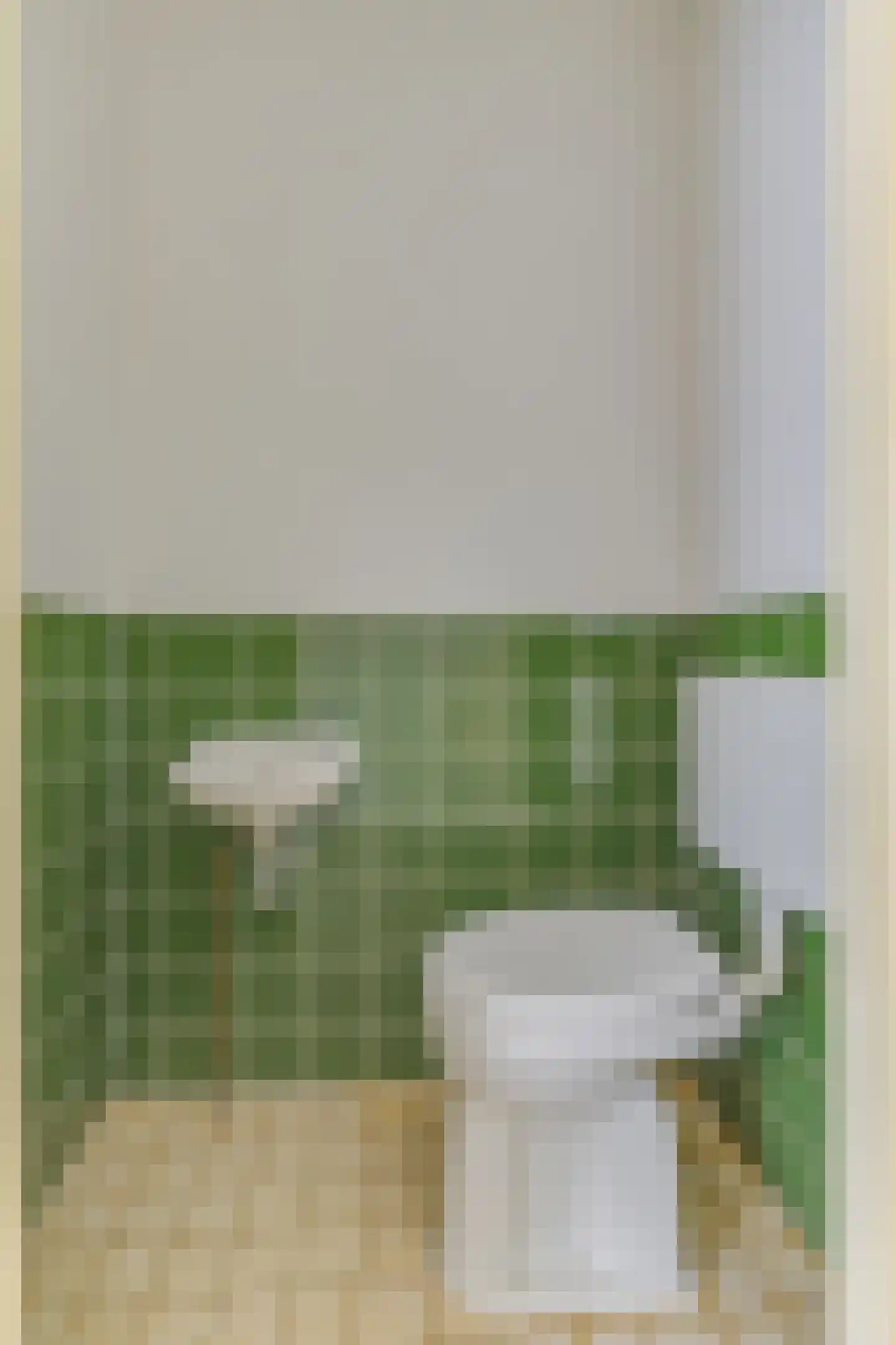 Mosagaat 4 Heerhugowaard thumbnail 6
