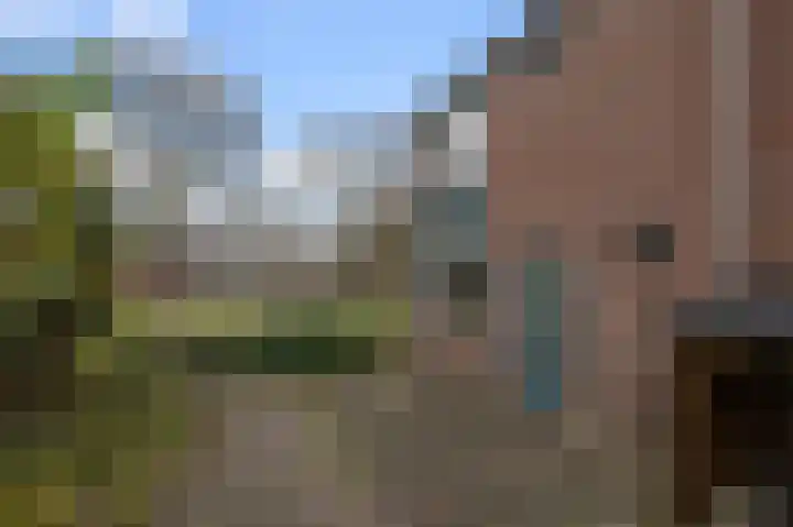 Mosakker 10 Koog aan de Zaan