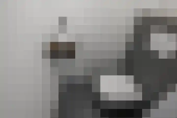 Mosakker 10 Koog aan de Zaan thumbnail 11
