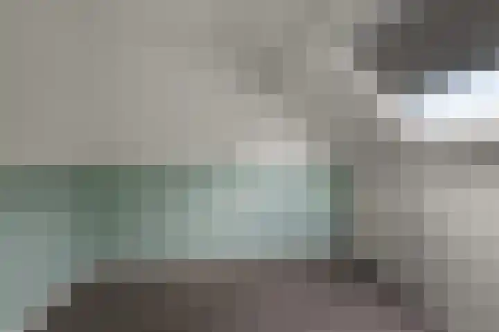 Mosakker 10 Koog aan de Zaan thumbnail 14