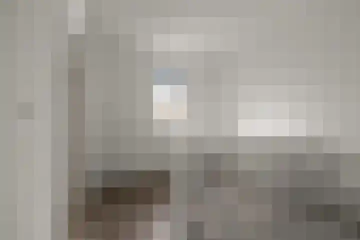 Mosakker 10 Koog aan de Zaan thumbnail 22