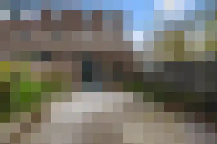 Mosakker 10 Koog aan de Zaan thumbnail 25