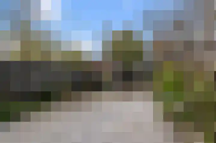 Mosakker 10 Koog aan de Zaan thumbnail 26