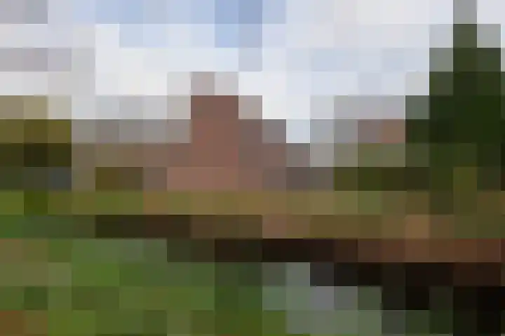 Mosakker 10 Koog aan de Zaan thumbnail 27