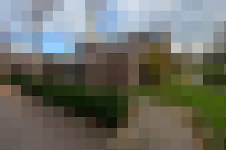 Mosakker 10 Koog aan de Zaan thumbnail 28