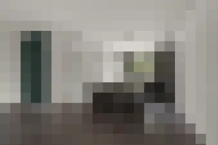 Mosakker 10 Koog aan de Zaan thumbnail 5