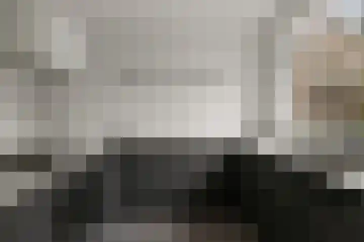 Mosakker 10 Koog aan de Zaan thumbnail 6