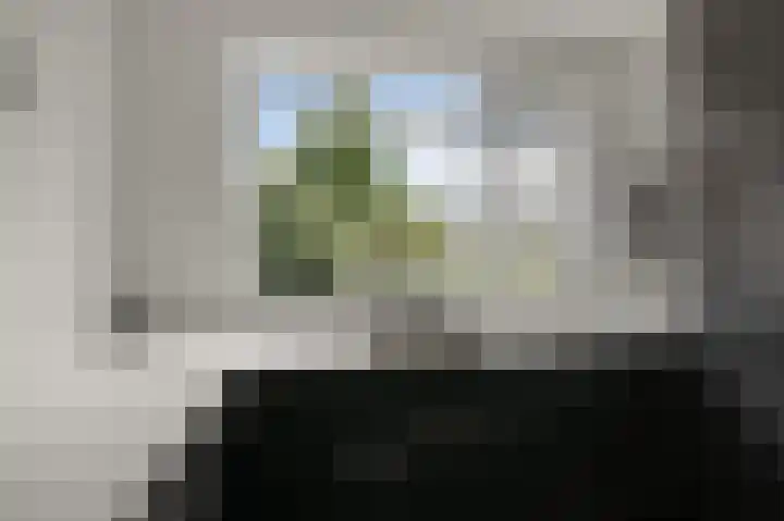 Mosakker 10 Koog aan de Zaan thumbnail 7