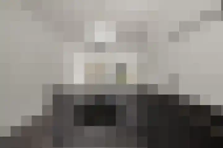 Mosakker 10 Koog aan de Zaan thumbnail 8