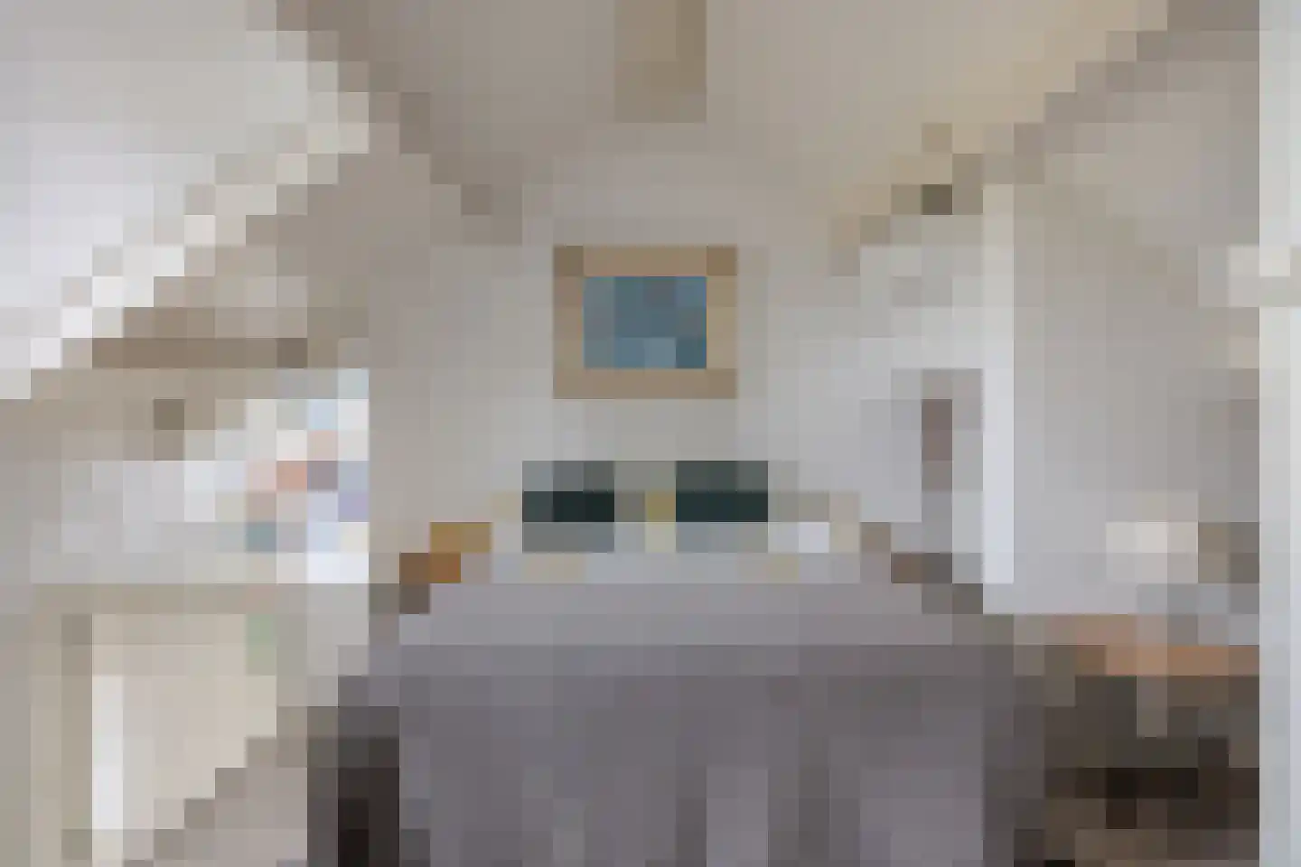 Mosasaurusweg 13 Maastricht thumbnail 33