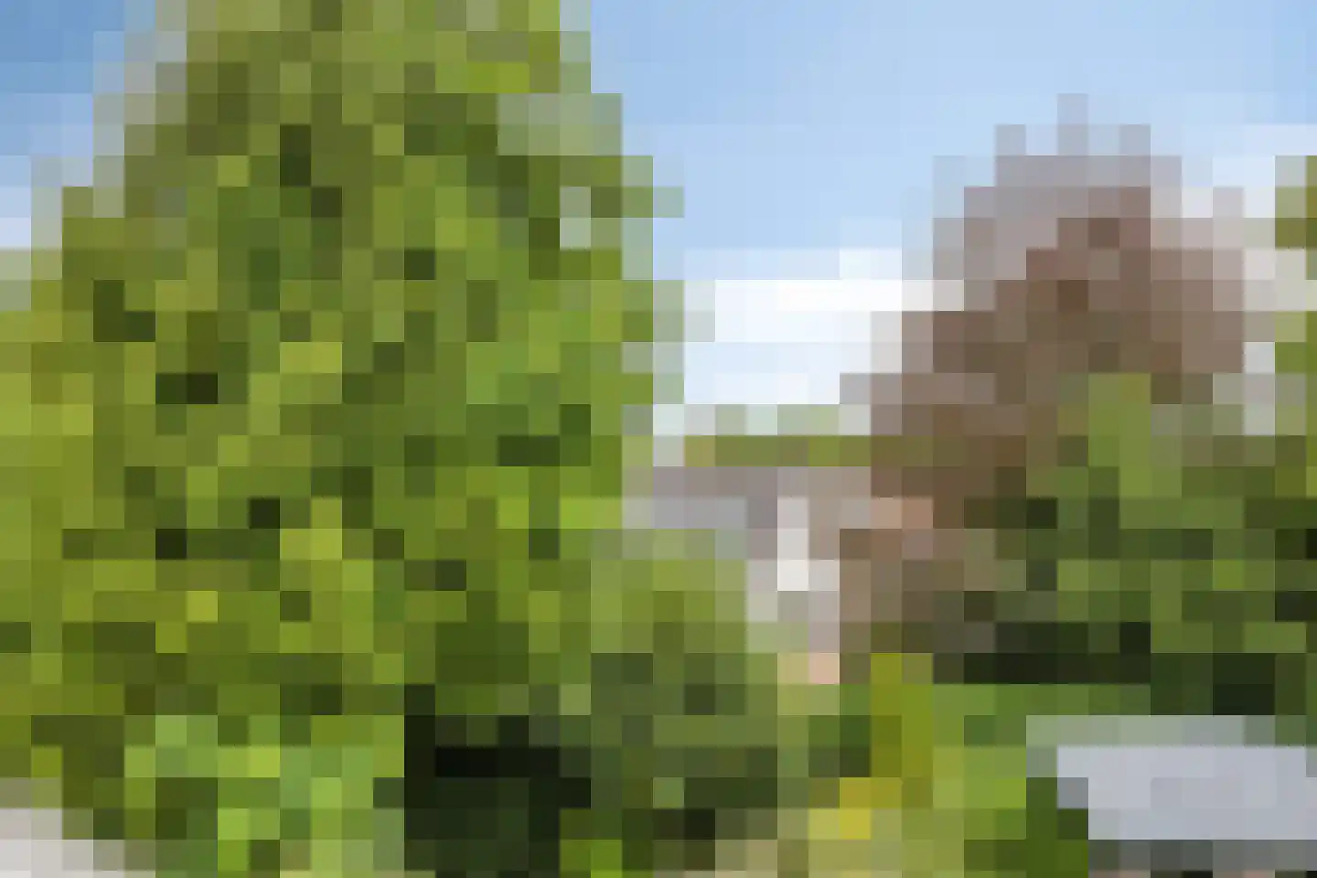 Mosasaurusweg 13 Maastricht thumbnail 37