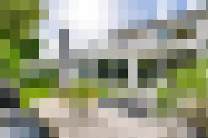 Mosasaurusweg 23 Maastricht thumbnail 31