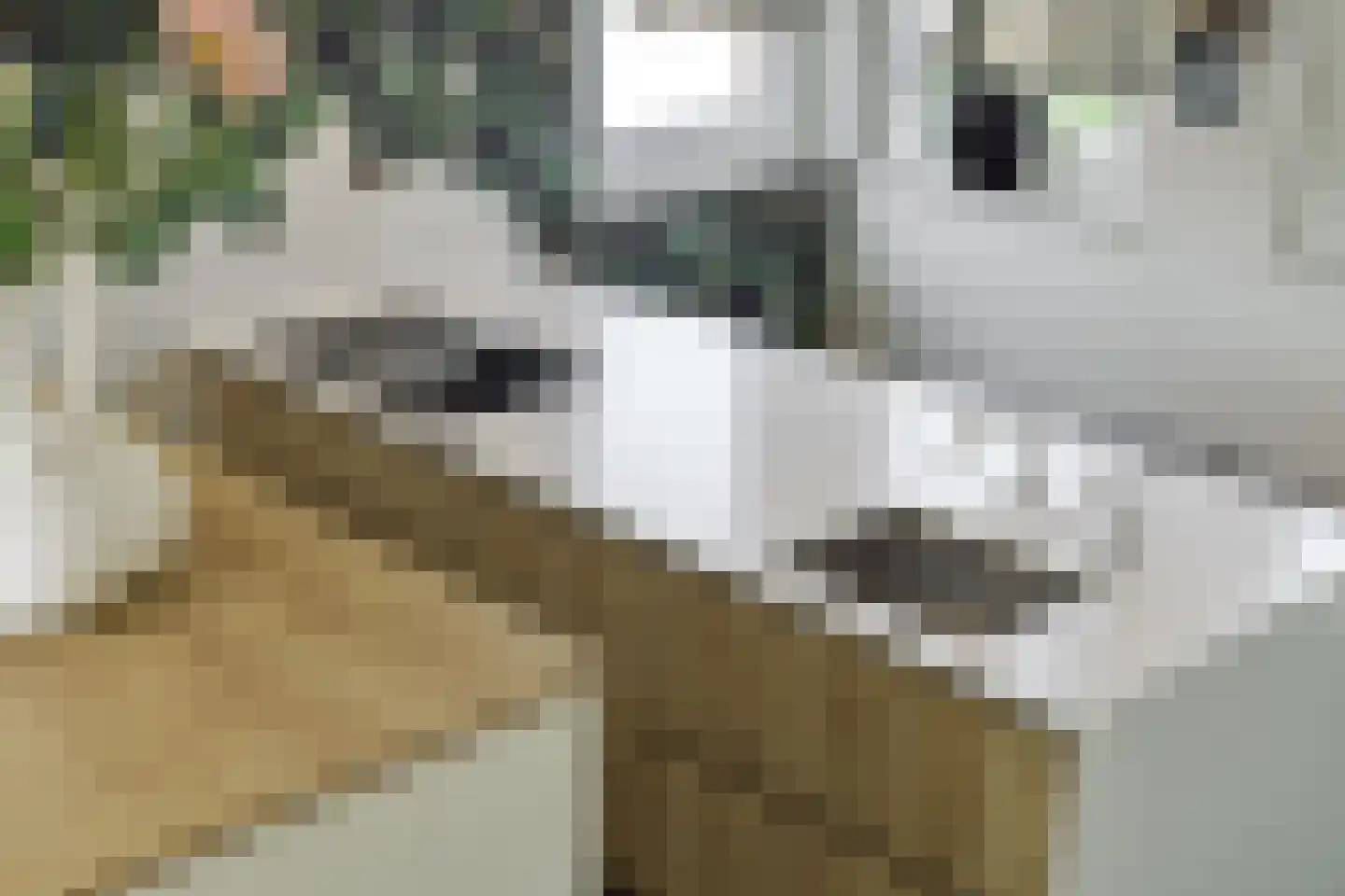 Mosasingel 107 Rosmalen thumbnail 19