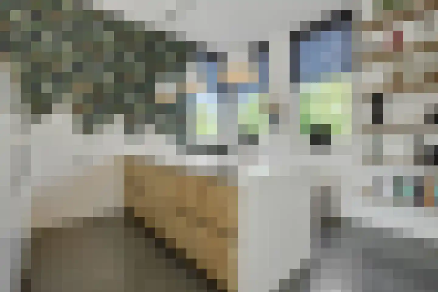 Mosasingel 107 Rosmalen thumbnail 21