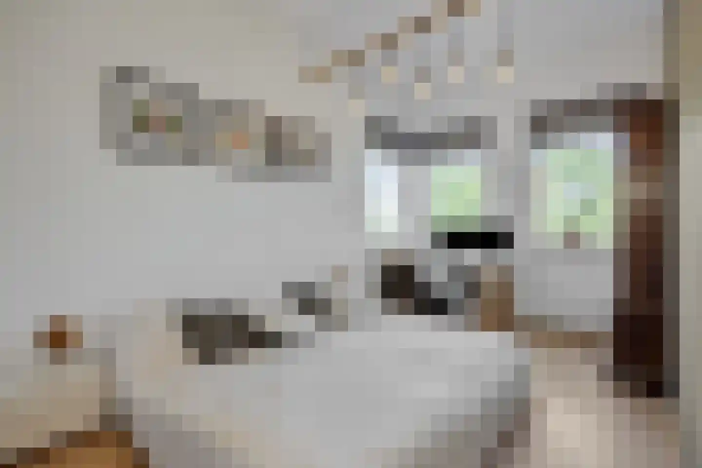 Mosasingel 107 Rosmalen thumbnail 35