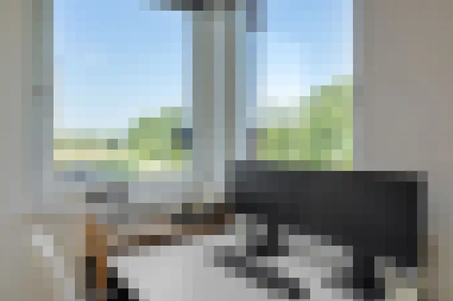 Mosasingel 107 Rosmalen thumbnail 37