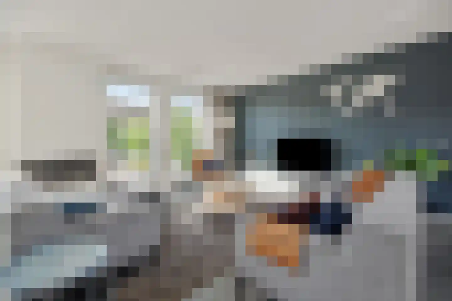Mosasingel 107 Rosmalen thumbnail 5