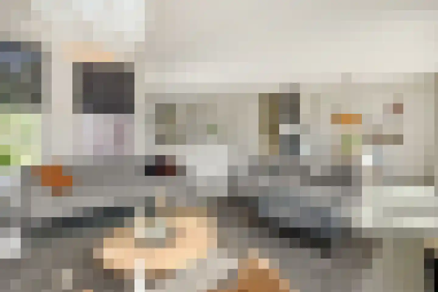 Mosasingel 107 Rosmalen thumbnail 6