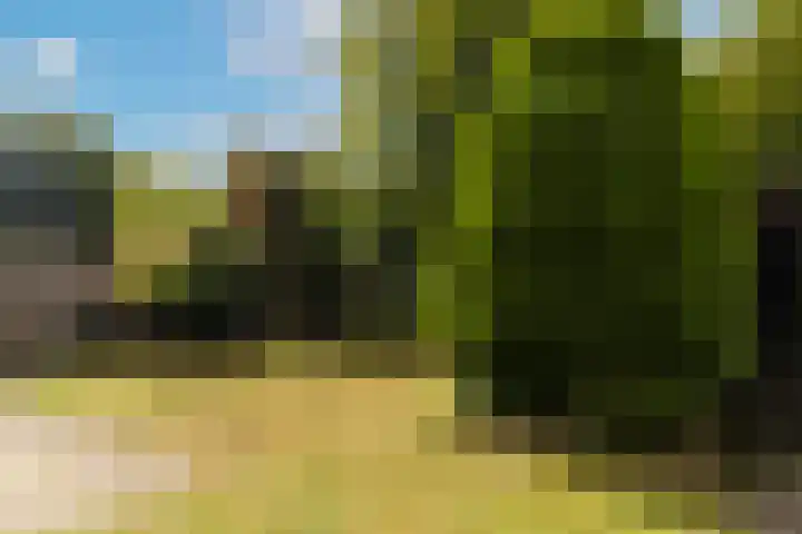 Mosbeek 34 Veldhoven thumbnail 35