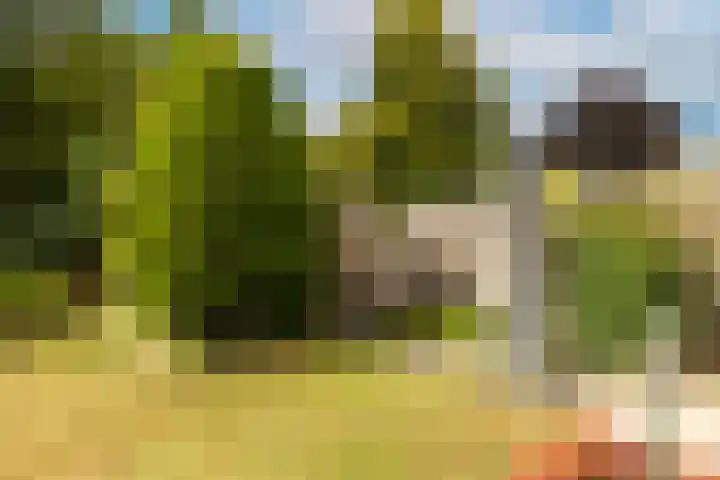Mosbeek 34 Veldhoven thumbnail 36