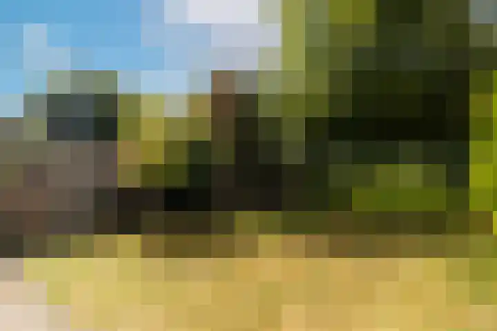 Mosbeek 34 Veldhoven thumbnail 37