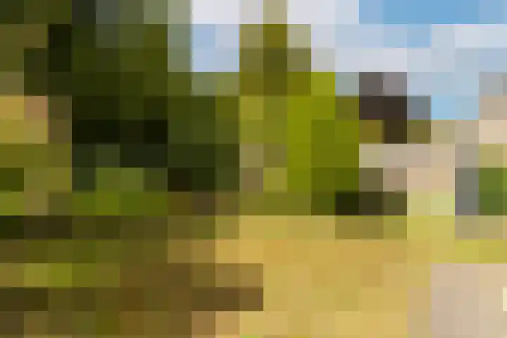 Mosbeek 34 Veldhoven thumbnail 38
