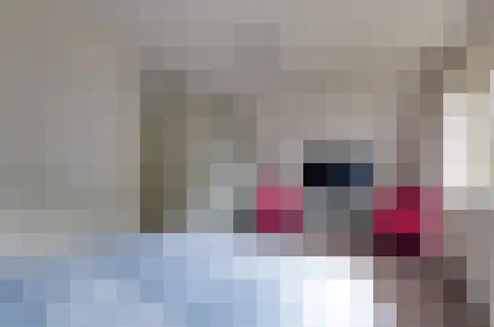 Mosbeemd 1 Assen thumbnail 27