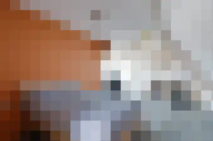 Mosbeemd 1 Assen thumbnail 31