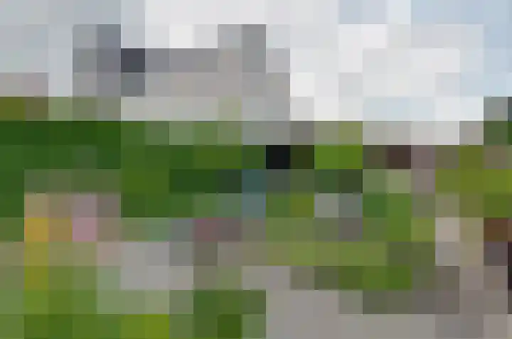 Mosbeemd 1 Assen thumbnail 36