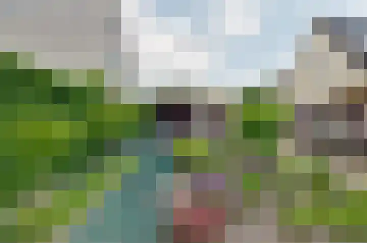 Mosbeemd 1 Assen thumbnail 37