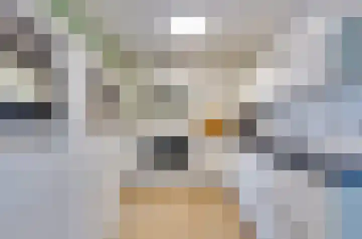 Mosbeemd 1 Assen thumbnail 9