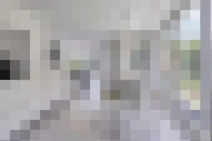 Mosberg 23 Roosendaal thumbnail 17