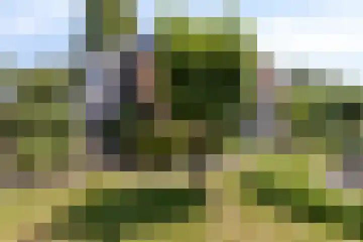 Mosberg 23 Roosendaal thumbnail 37