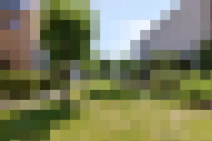 Mosberg 23 Roosendaal thumbnail 38