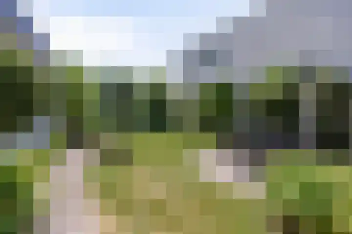 Mosberg 23 Roosendaal thumbnail 39