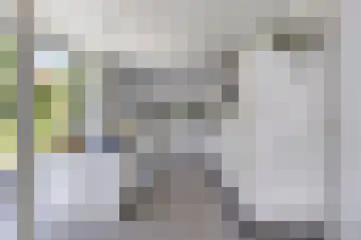 Mosberg 23 Roosendaal thumbnail 4