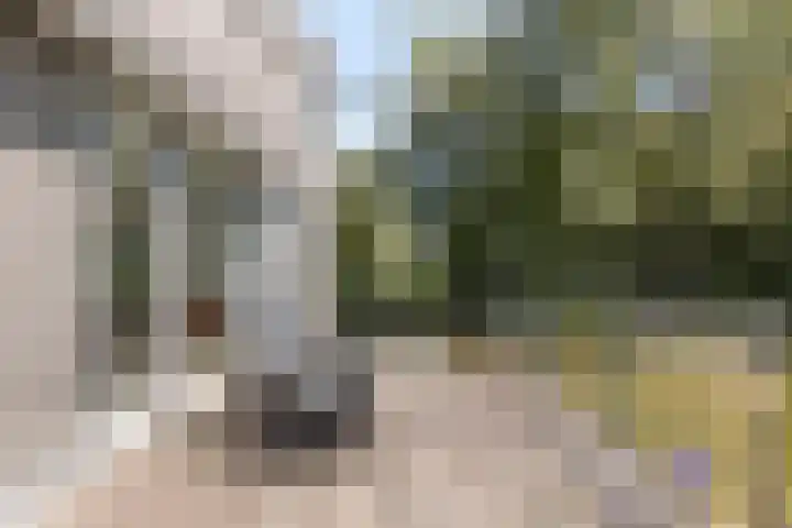 Mosberg 23 Roosendaal thumbnail 43