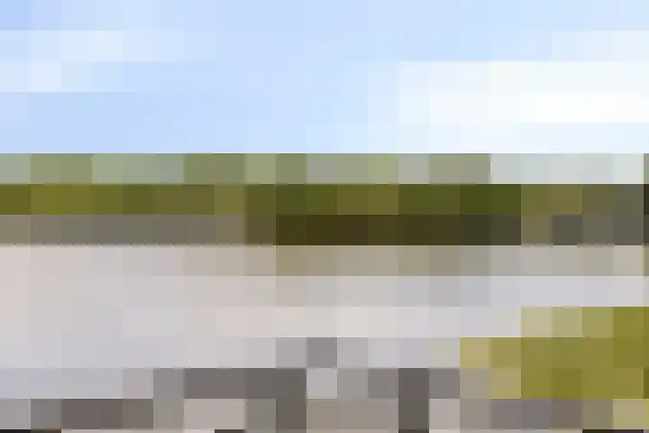 Mosberg 23 Roosendaal thumbnail 44