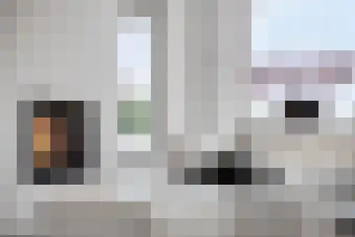 Mosberg 82 Roosendaal thumbnail 12