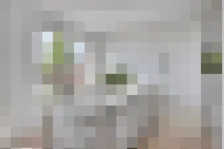 Mosberg 82 Roosendaal thumbnail 16