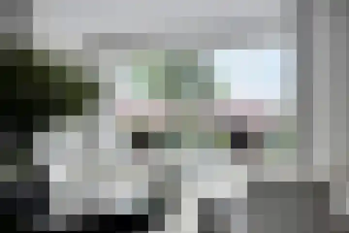 Mosberg 82 Roosendaal thumbnail 17