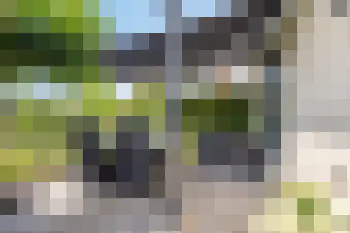 Mosberg 82 Roosendaal thumbnail 33