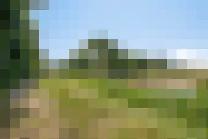 Mosberg 82 Roosendaal thumbnail 39