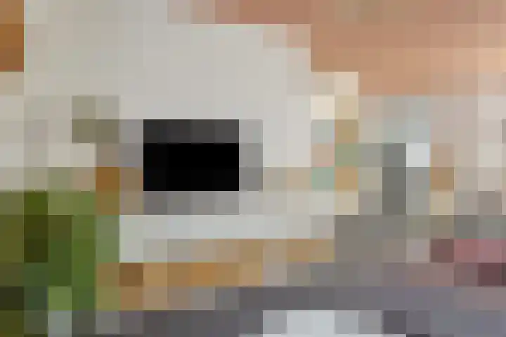 Moselborg 10 Maastricht thumbnail 8