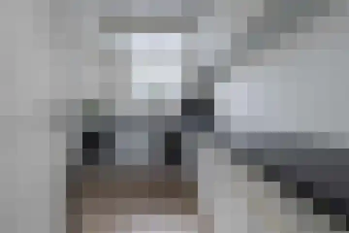 Moselborg 21 Maastricht thumbnail 15