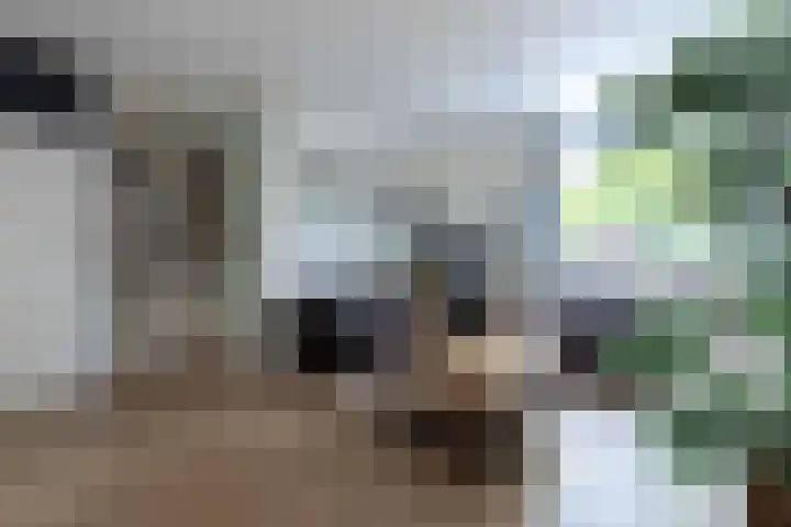 Moselborg 21 Maastricht thumbnail 18