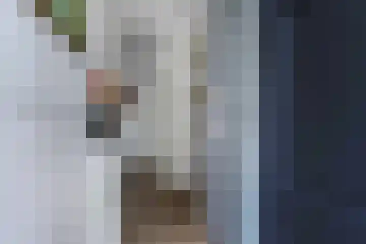 Moselborg 21 Maastricht thumbnail 6